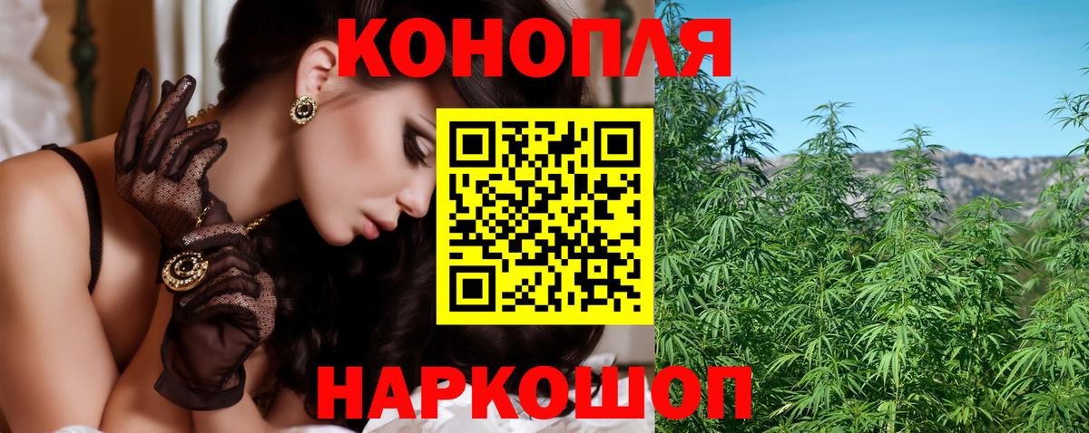 Марихуана конопля  Марихуана планчик  Вход с VPN  Южноуральск  Канабис семена  Каннабис индика 